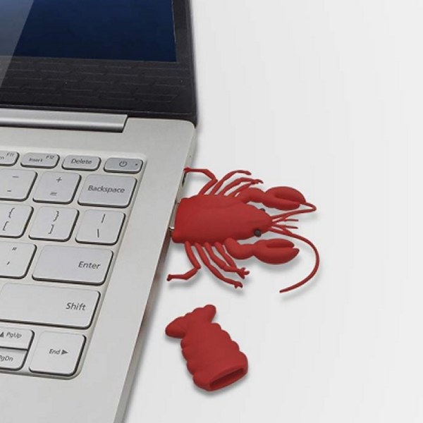 FEBNISCTE Cartoon Thumb Drive Red Lobster Pen Drive