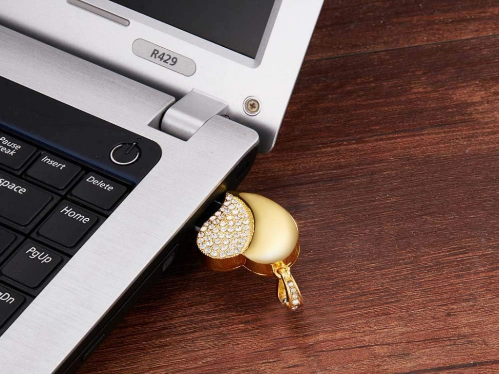GARRULAX USB Flash Drives